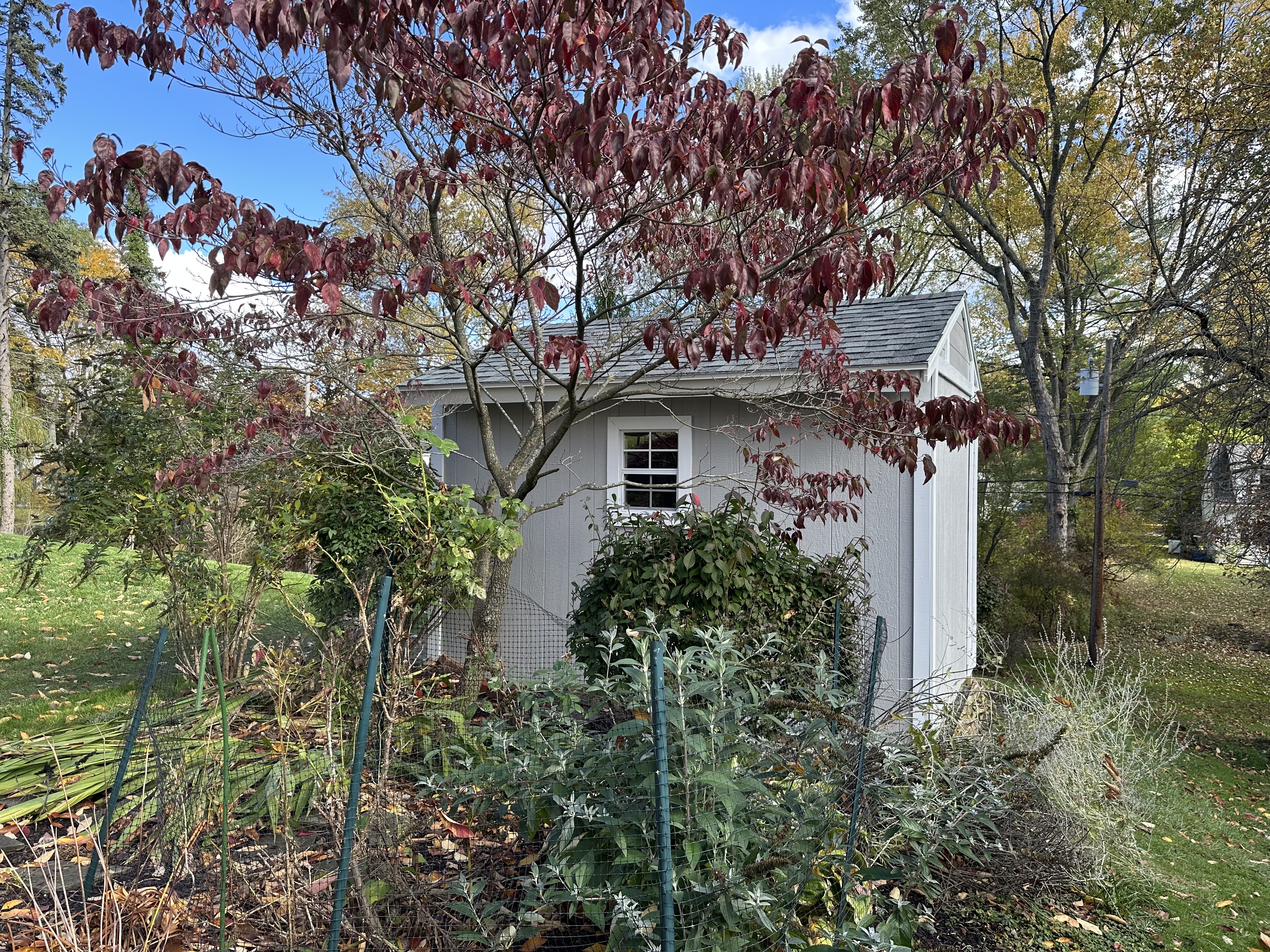 2025 shed project completed photo 3